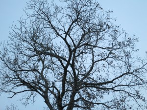 Poetic Injustice - 001